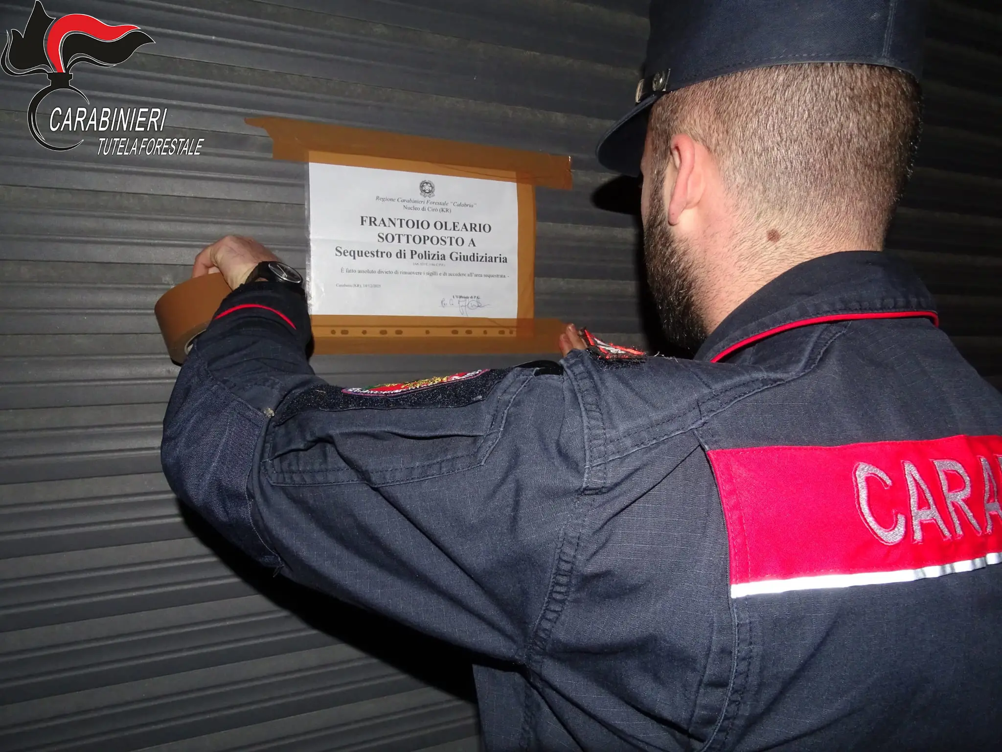 Un sistema di tubi occulto per sversare illecitamente nei torrenti: sequestrato un frantoio nel Crotonese\n