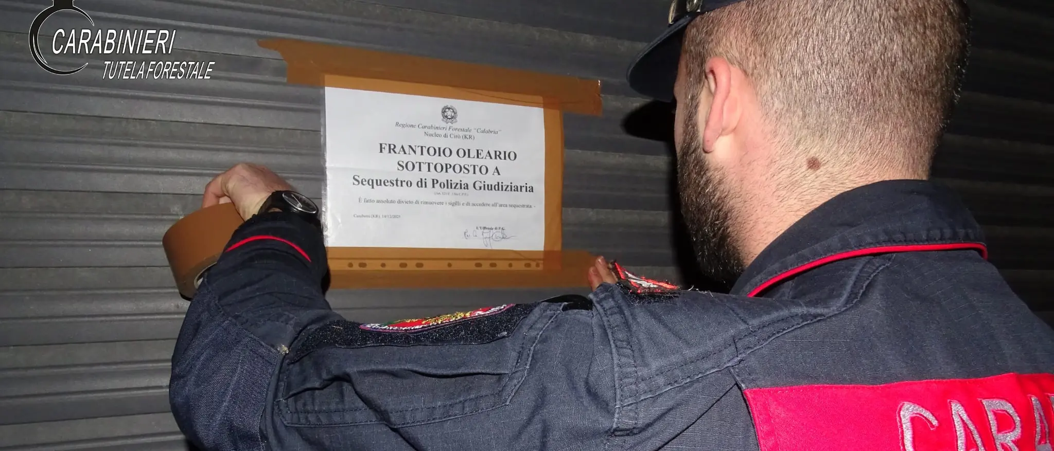Un sistema di tubi occulto per sversare illecitamente nei torrenti: sequestrato un frantoio nel Crotonese\n