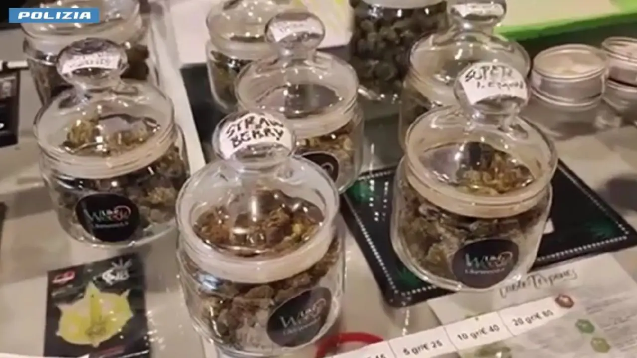 Maxi operazione antidroga in tutta Italia: controlli a tappeto a Catanzaro, Crotone e Vibo Valentia