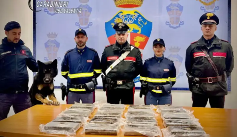 In autostrada con 22 chili di cocaina su una Smart Forfour, condanna con rito abbreviato\u00A0a Vibo\u00A0\n