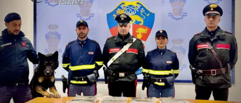 In autostrada con 22 chili di cocaina su una Smart Forfour, condanna con rito abbreviato\u00A0a Vibo\u00A0\n