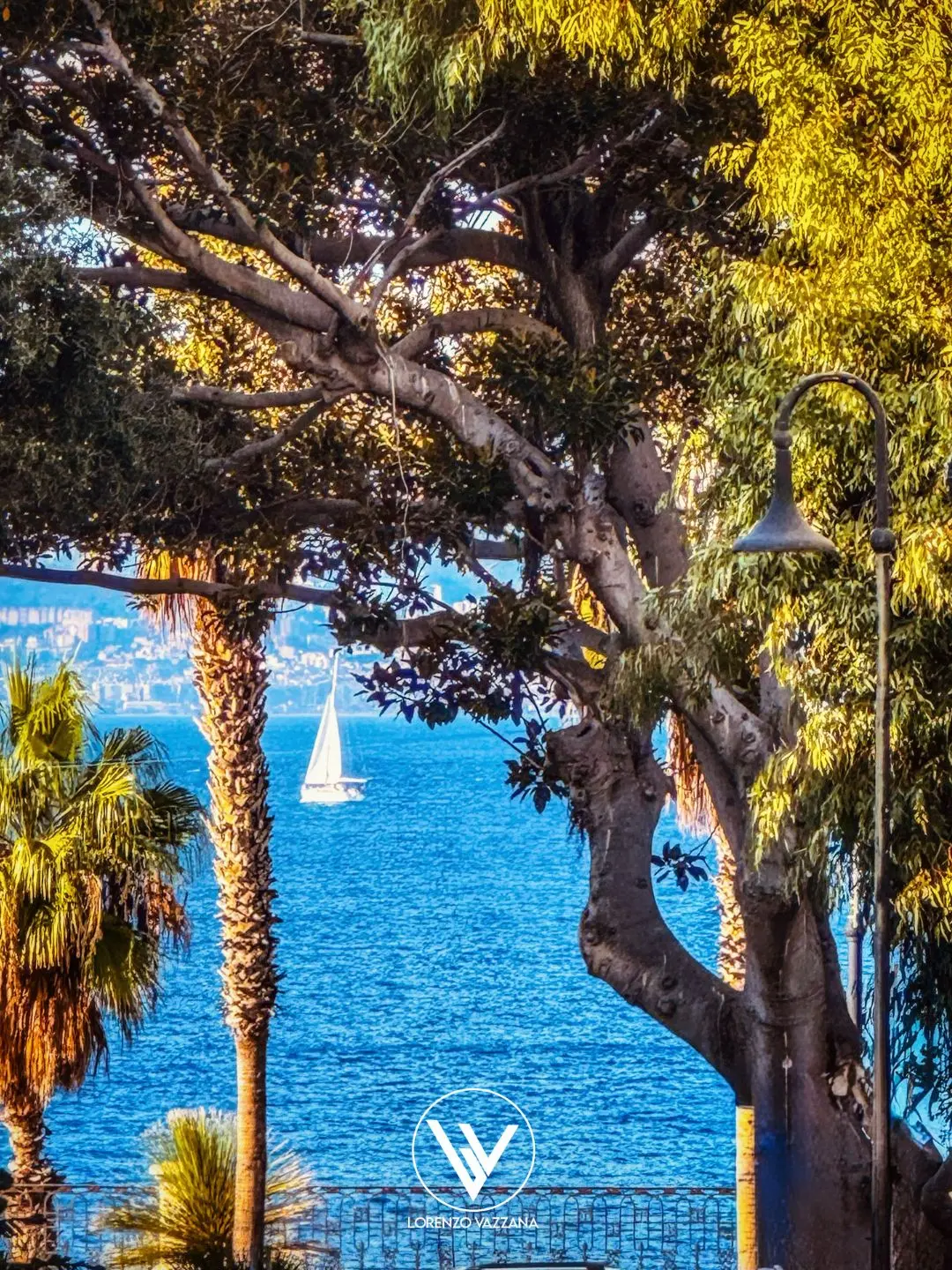 Tra gli alberi, un sogno sullo Stretto\n