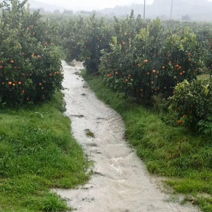 Corigliano Rossano, sembra un torrente ma è una perdita Sorical\n