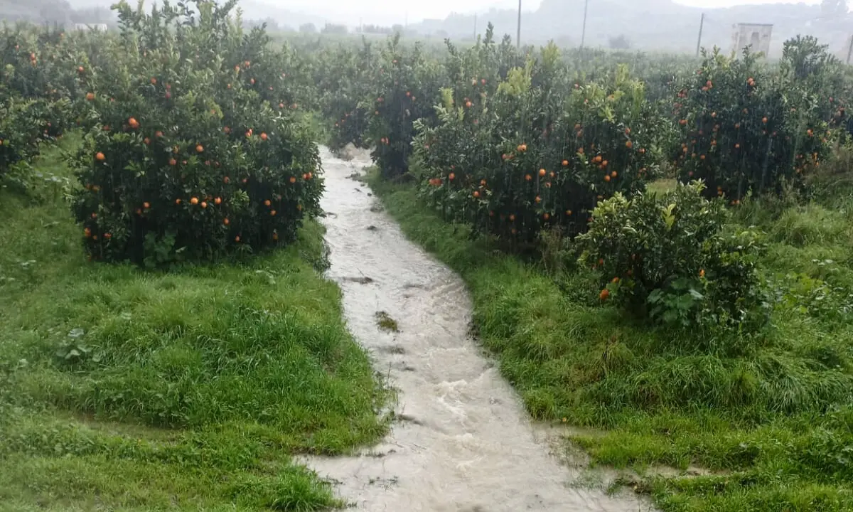 Corigliano Rossano, sembra un torrente ma è una perdita Sorical\n