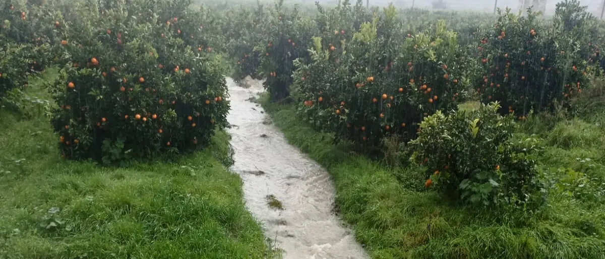 Corigliano Rossano, sembra un torrente ma è una perdita Sorical\n