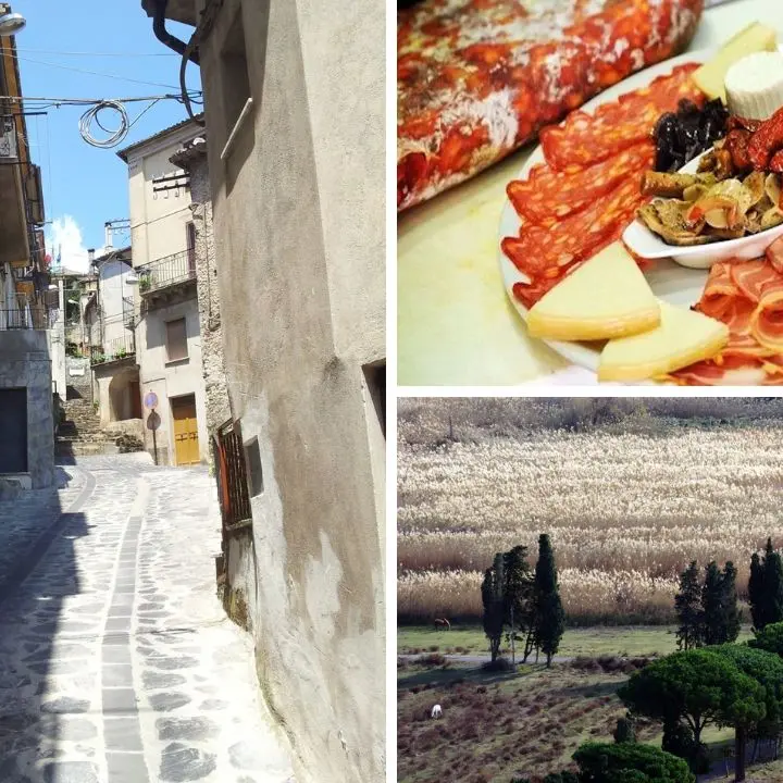 Dieci libri (classici e non) per regalare la Calabria a Natale tra memoria, viaggio e identità culturale\n