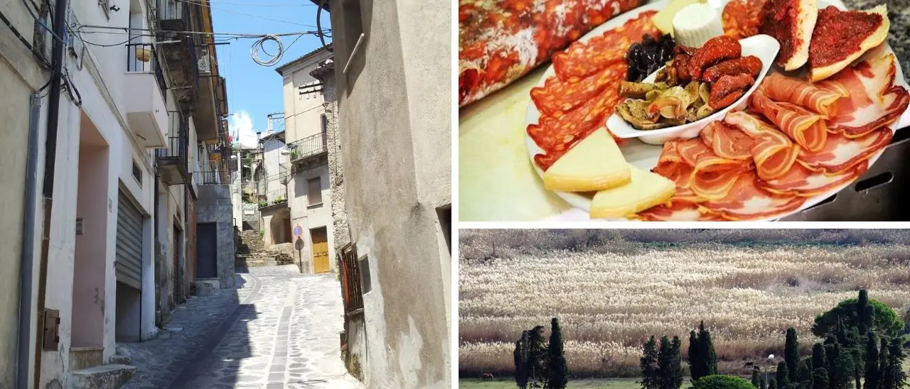 Dieci libri (classici e non) per regalare la Calabria a Natale tra memoria, viaggio e identità culturale\n