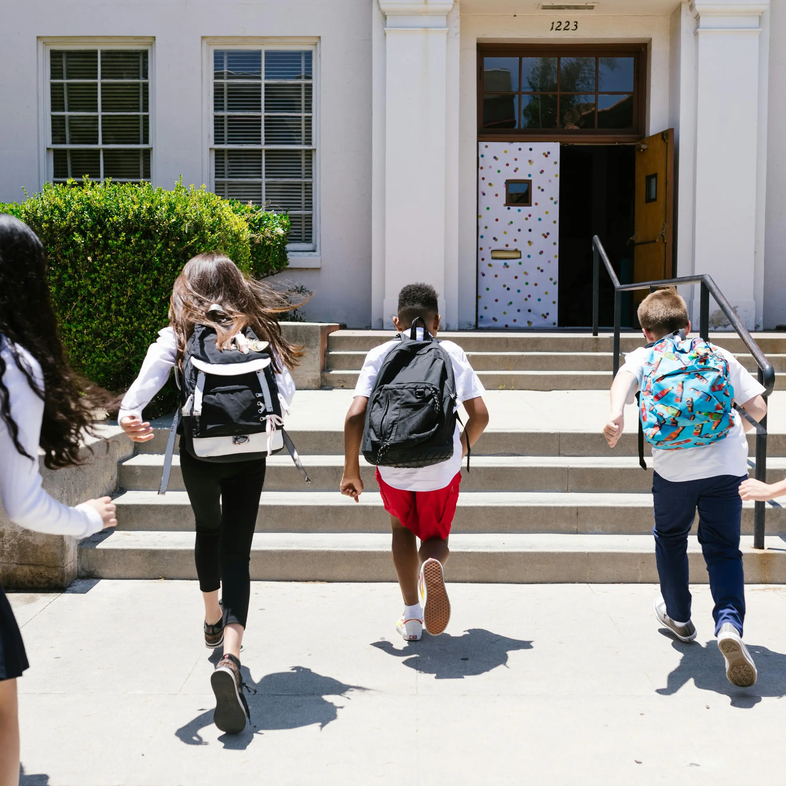 Calabria, allarme scuole: entro 10 anni le primarie rischiano di perdere 18mila alunni\n