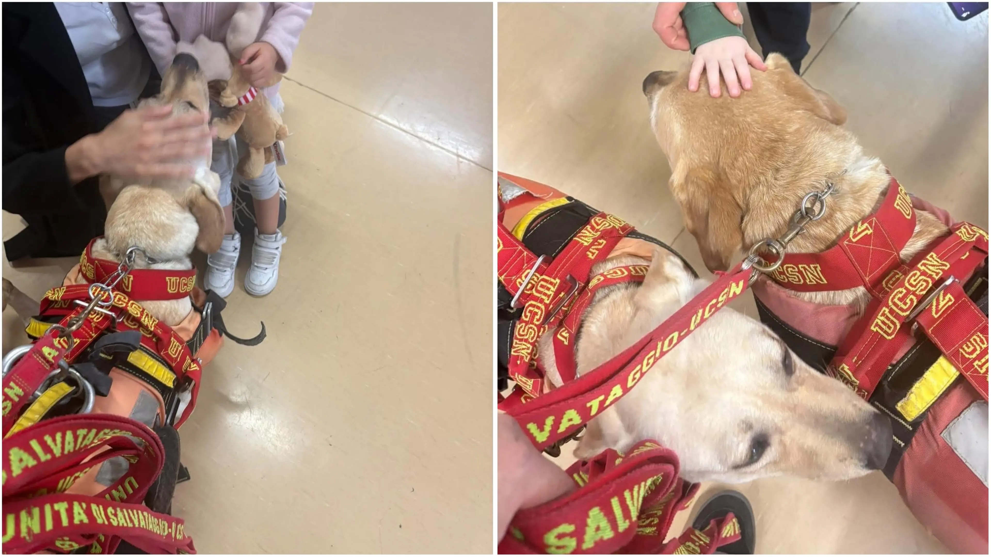 Proseguono le giornate di Pet Therapy all’Ospedale di Lamezia Terme: professionalità, cuore e competenze operative al servizio delle persone\n