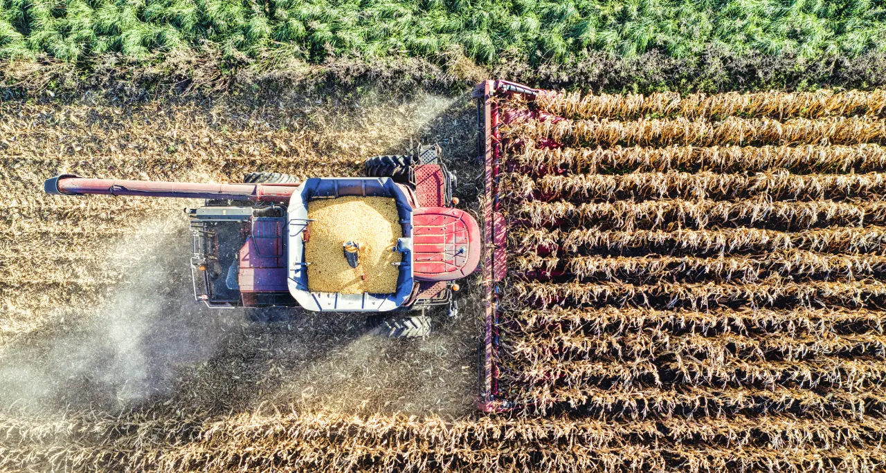 Agricoltura, Calabria «prima Regione d’Italia nella spesa dei fondi europei». Gallo: «Risultato eccezionale»\n