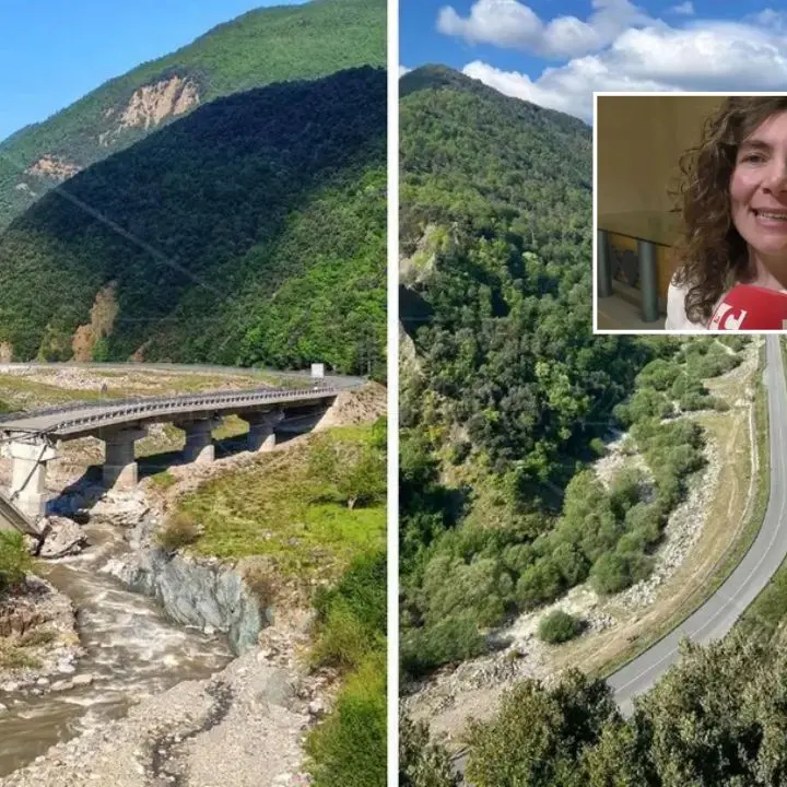 Ponte Longobucco, Orrico (M5s) interroga Salvini: «Chiediamo con urgenza le tempistiche»