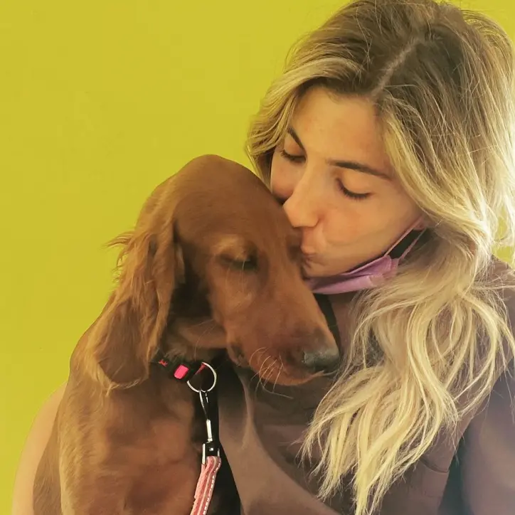 Oasi canine, ospedali veterinari e sterilizzazioni: il piano della Regione per promuovere il benessere degli animali