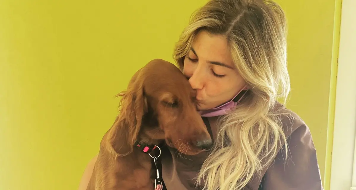 Oasi canine, ospedali veterinari e sterilizzazioni: il piano della Regione per promuovere il benessere degli animali