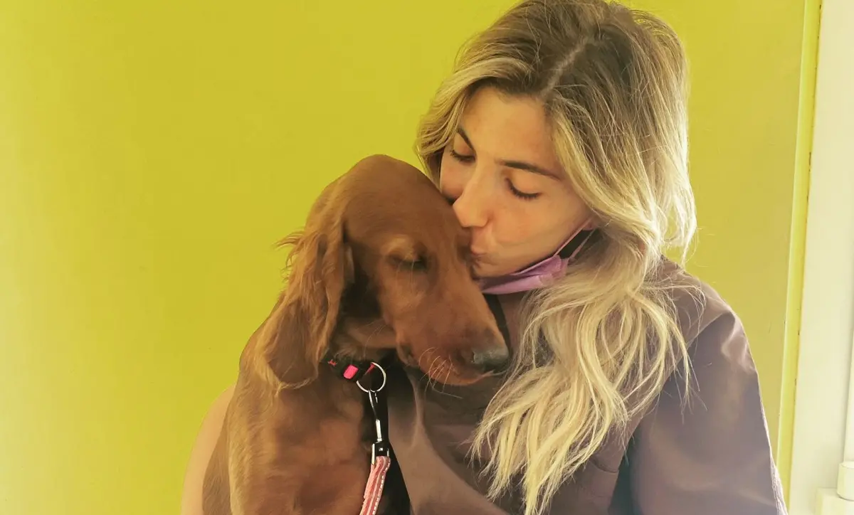 Oasi canine, ospedali veterinari e sterilizzazioni: il piano della Regione per promuovere il benessere degli animali