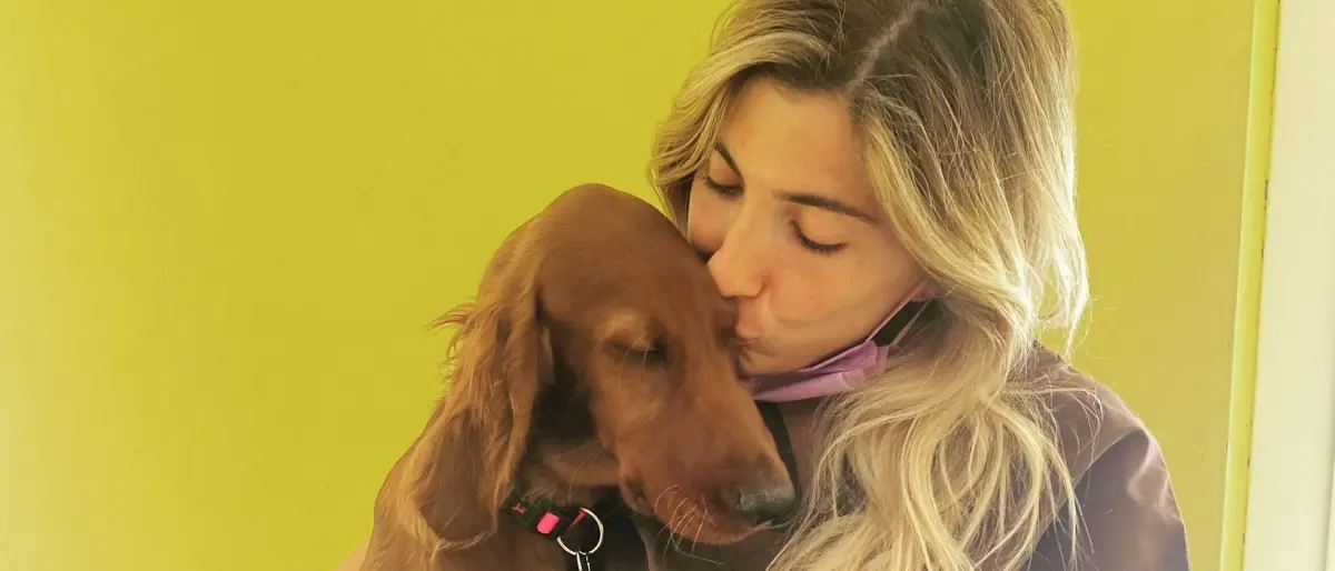 Oasi canine, ospedali veterinari e sterilizzazioni: il piano della Regione per promuovere il benessere degli animali