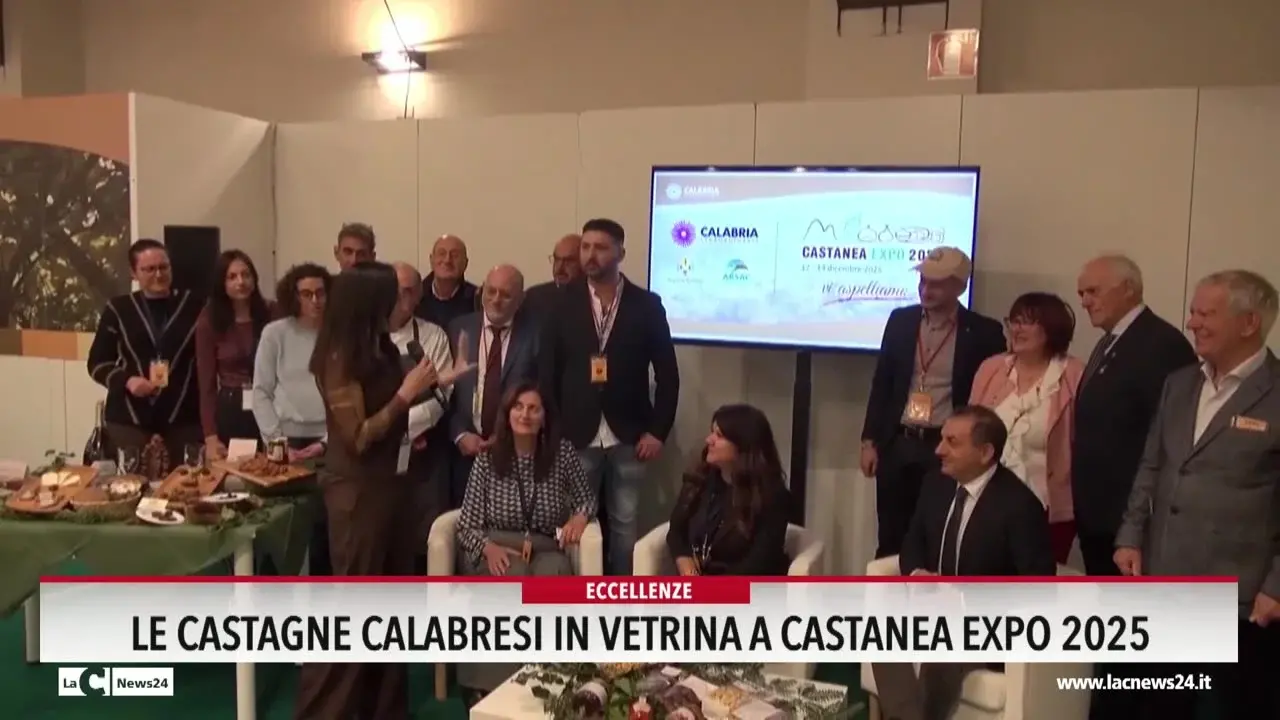 Le castagne calabresi in vetrina a Castanea Expo 2025