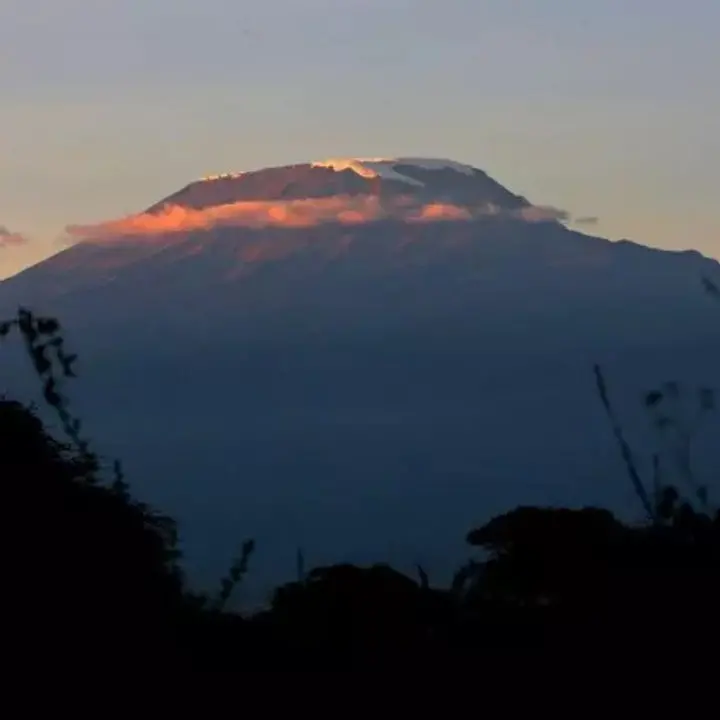 Elicottero precipita sul Kilimangiaro:\u00A05 morti,\u00A0anche due turisti\n