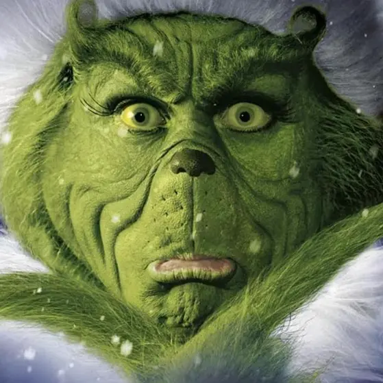 Il Grinch a Reggio Calabria, attesa per lo spettacolo acrobatico che fonde arte circense, musica e danza\n