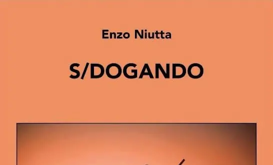 A Caulonia la presentazione del libro “S/dogando” di Enzo Niutta\n