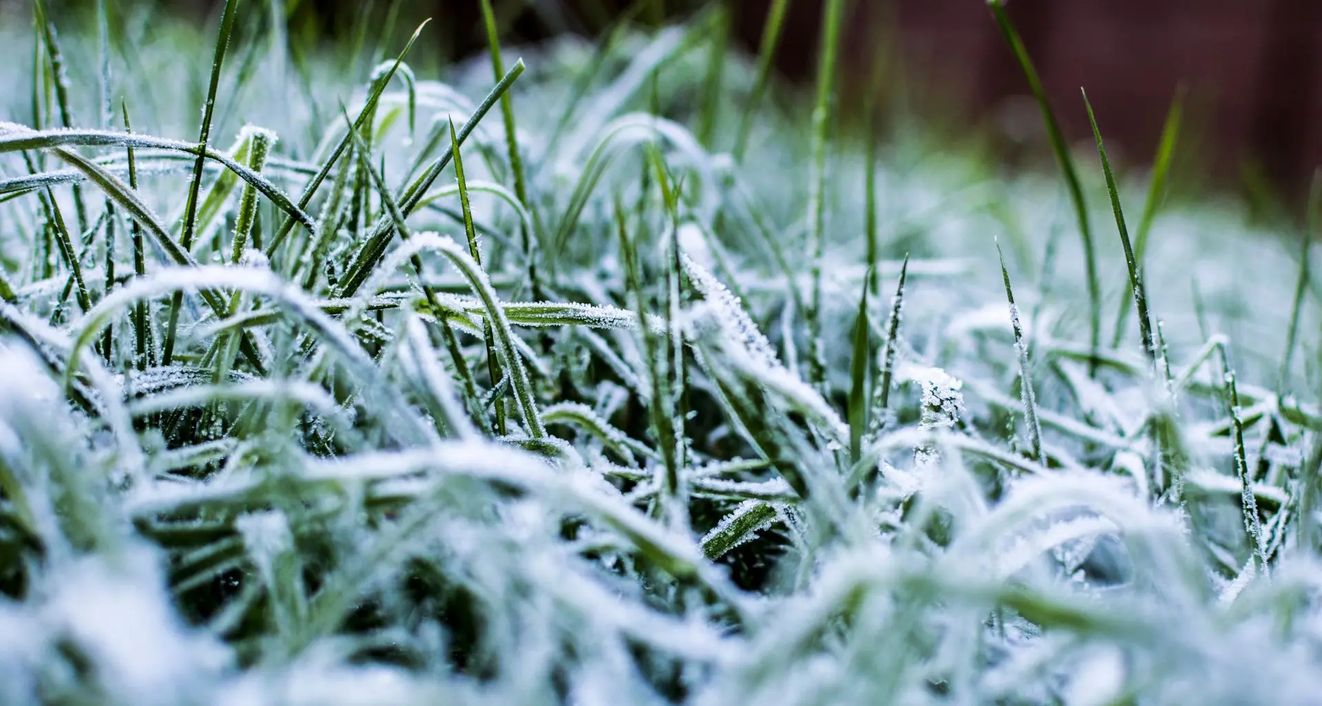 Fine anno con il gelo in Calabria, nella notte di San Silvestro temperature fino a -10°C: le previsioni\n