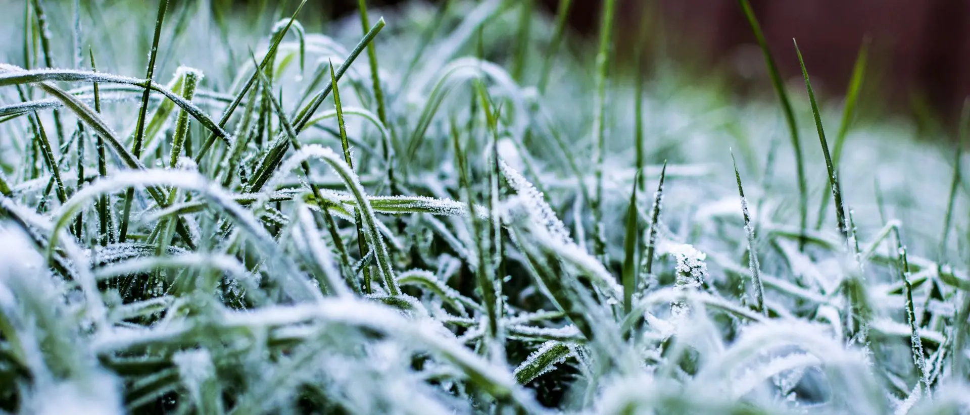 Fine anno con il gelo in Calabria, nella notte di San Silvestro temperature fino a -10°C: le previsioni\n