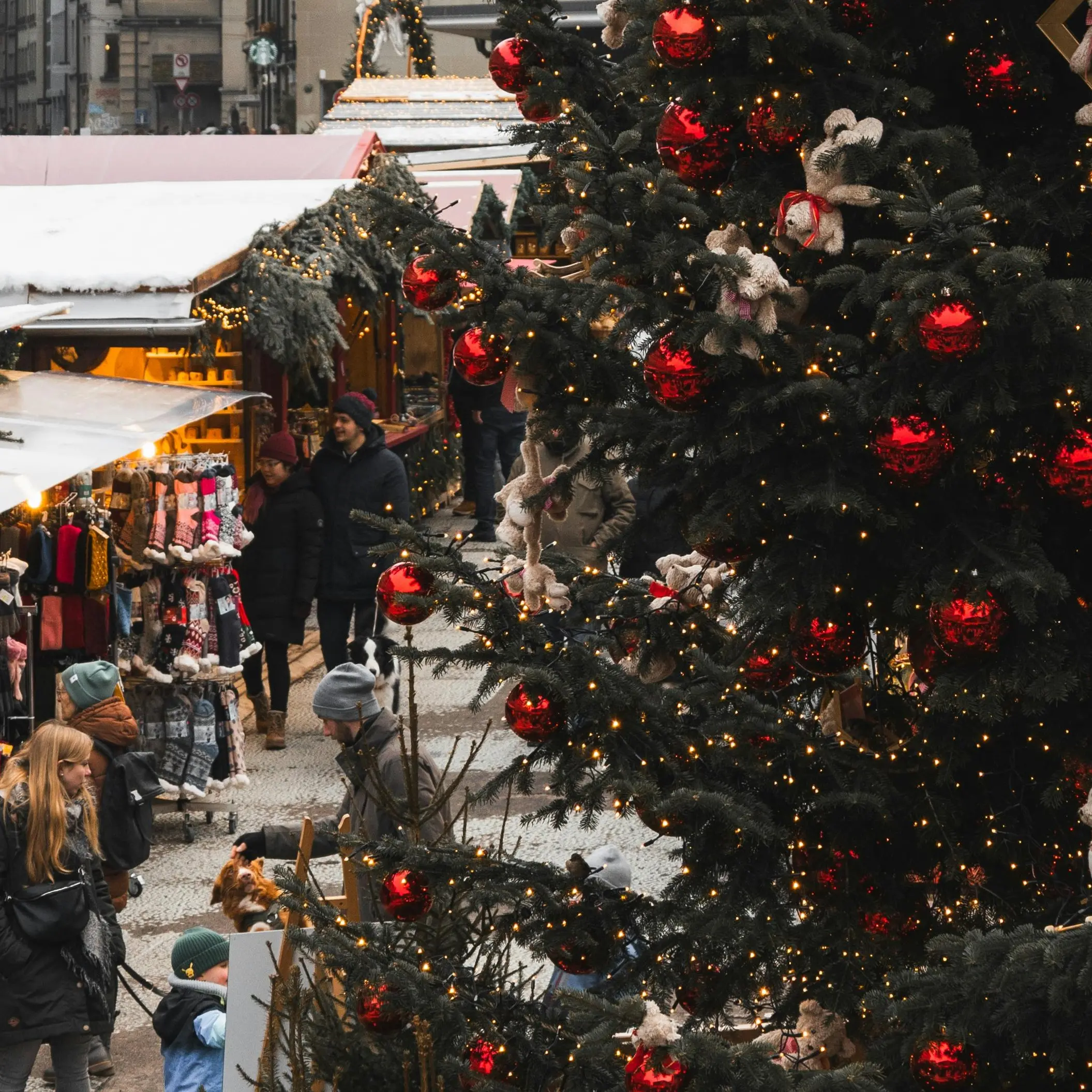 Prezzi bassi e boom di stranieri: in Calabria il turismo cresce ma per\u00A0fatturato la regione è quartultima\u00A0in Italia\n