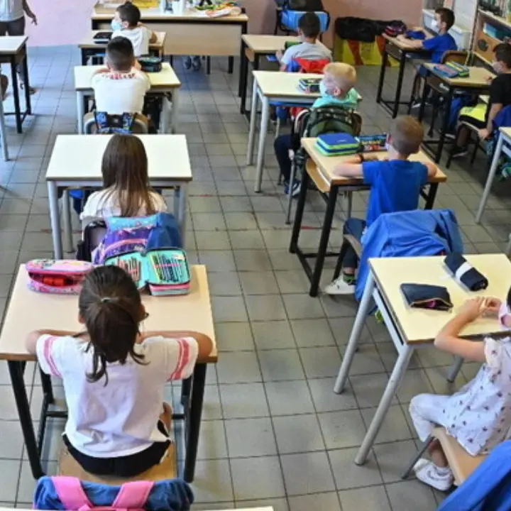 Tra assegnazioni provvisorie, attese infinite e il sostegno come speranza:\u00A0storia (ordinaria) di una docente calabrese\n