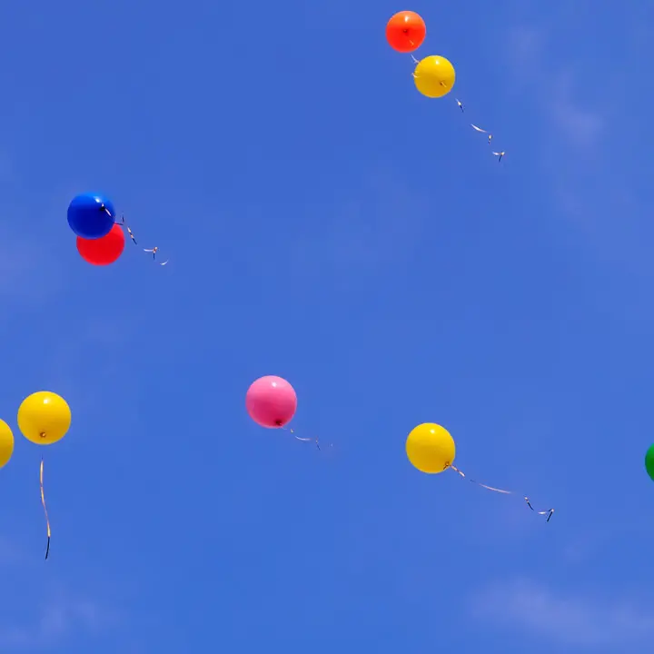 Vietato far volare i palloncini e usare fuochi d'artificio (a Capodanno): l'ordinanza di Catanzaro