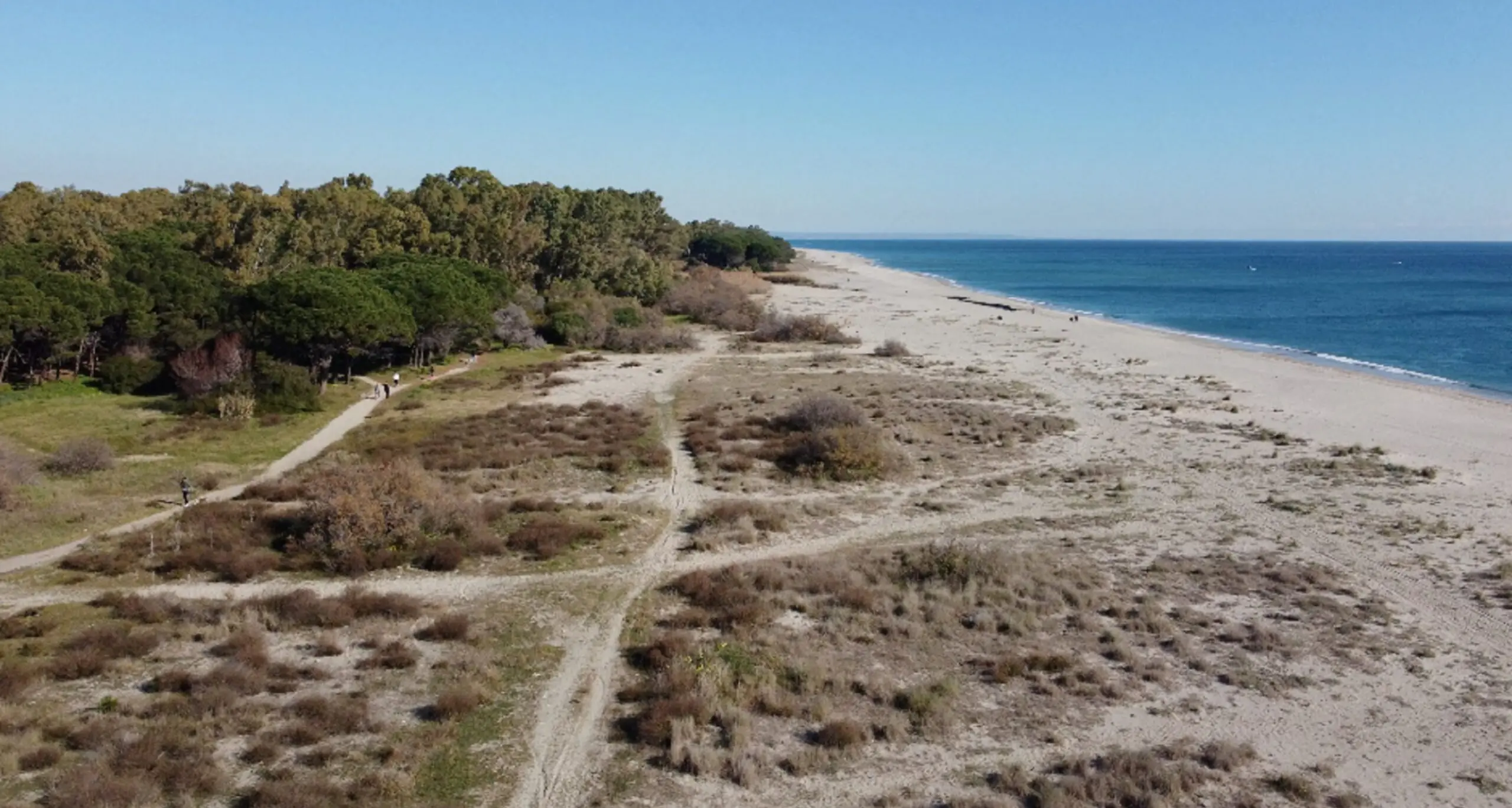 Dune di Giovino,\u00A0l’università Mediterranea eseguirà una indagine floristico-vegetazionale\n
