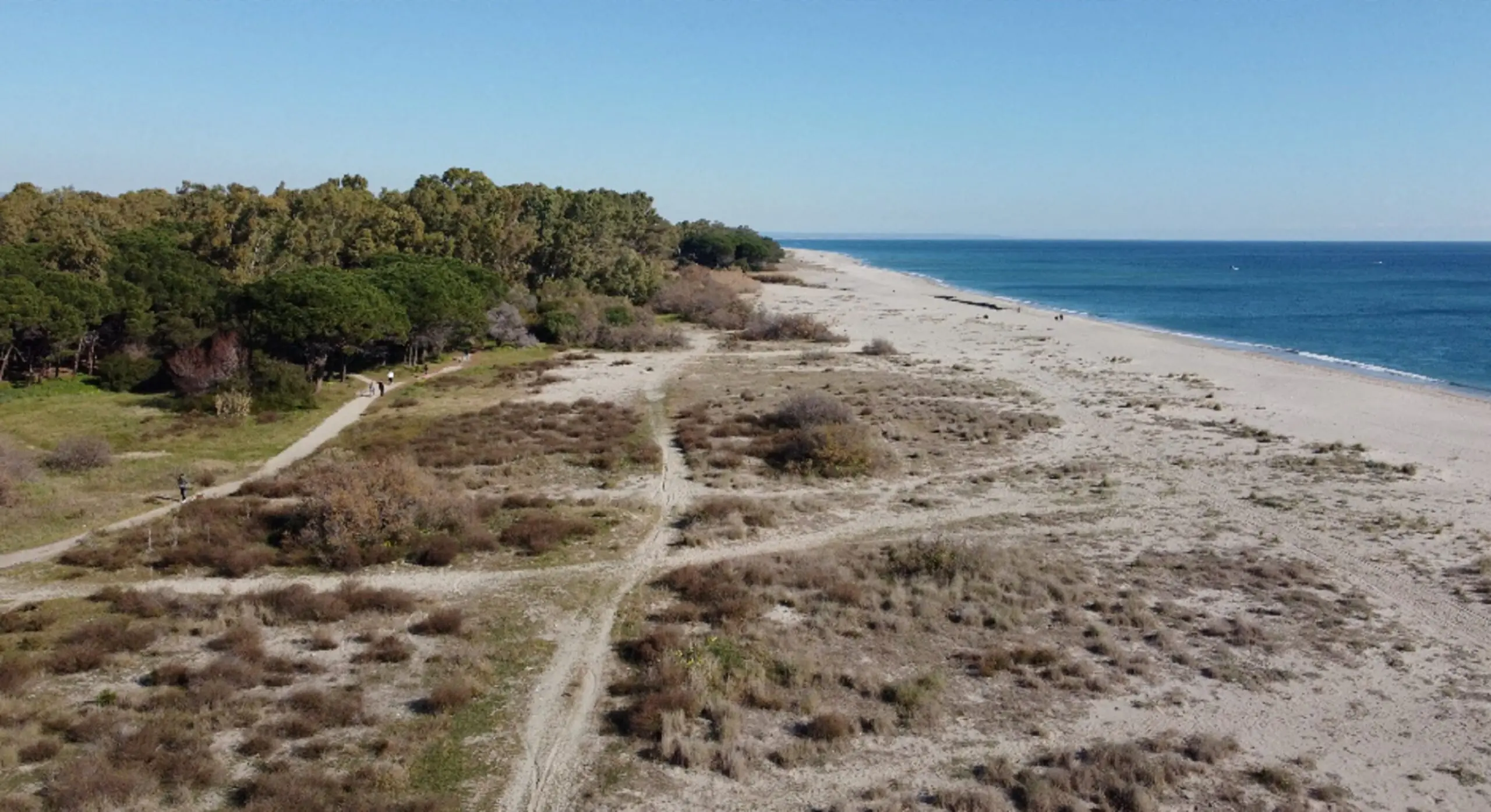Dune di Giovino, la Giunta approva la convenzione per la gestione della Riserva Naturale. L'assessore Colosimo responsabile dell’area protetta\n