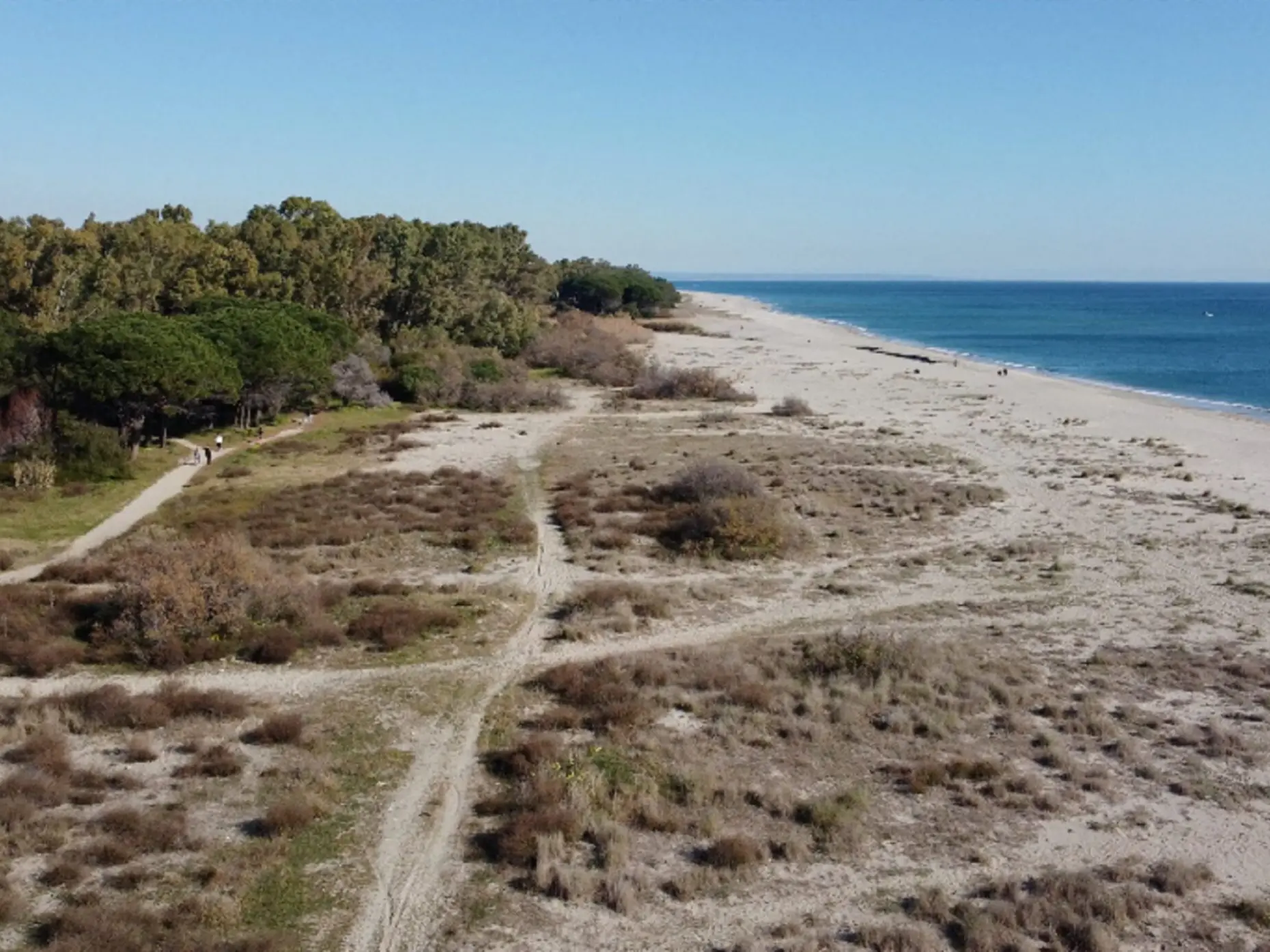 Dune di Giovino, la Giunta approva la convenzione per la gestione della Riserva Naturale. L'assessore Colosimo responsabile dell’area protetta