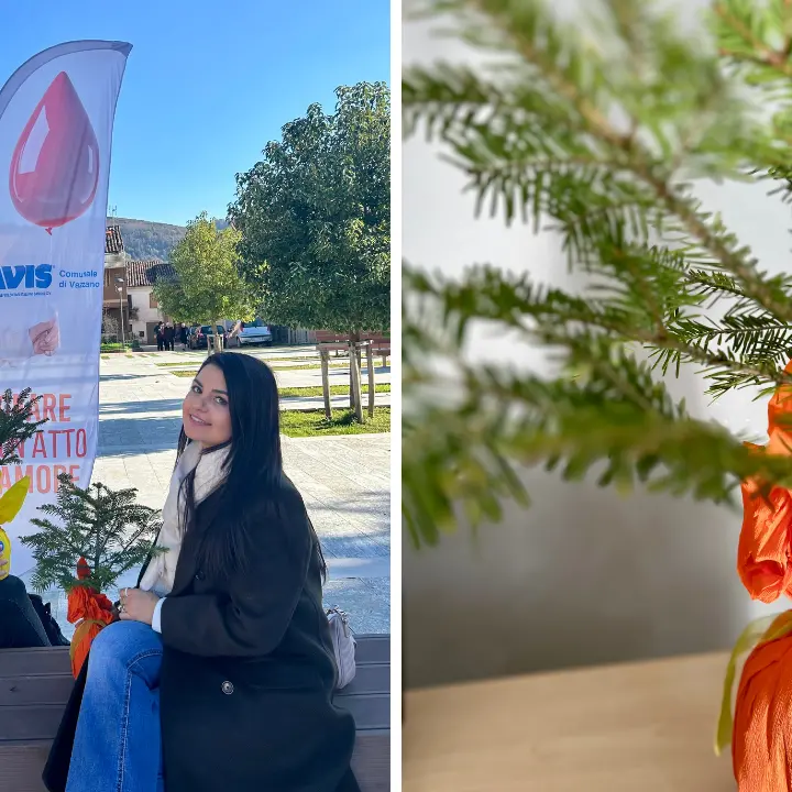 Avis di Vazzano e Calabria Verde regalano 45 abeti bianchi ai donatori come «simbolo di vita»\n
