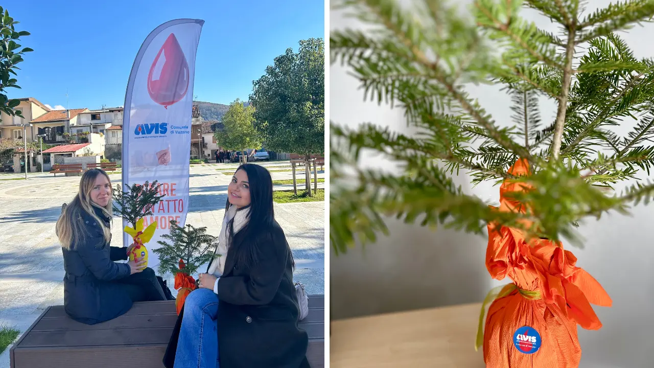 Avis di Vazzano e Calabria Verde regalano 45 abeti bianchi ai donatori come «simbolo di vita»\n