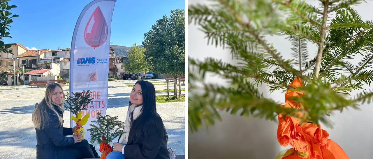 Avis di Vazzano e Calabria Verde regalano 45 abeti bianchi ai donatori come «simbolo di vita»\n