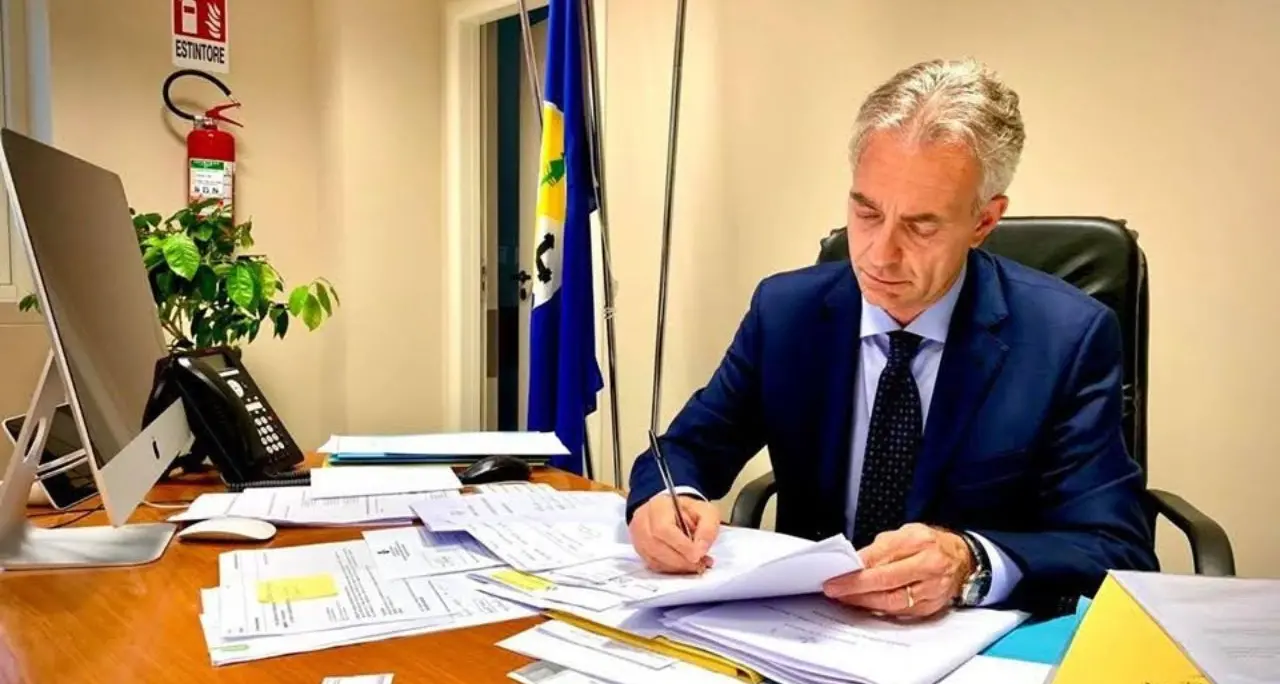 Olivicoltura, 50 milioni dalla Regione: 940 domande per il bando SRD01\n