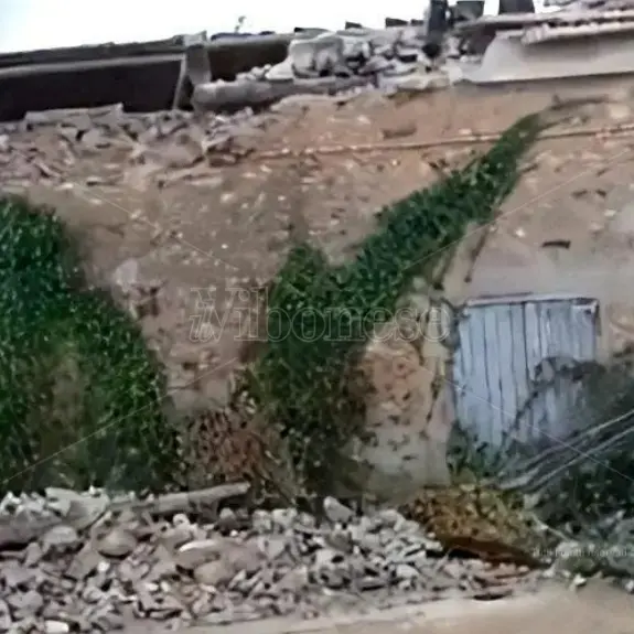 Vibo Marina, crolla il tetto di una struttura disabitata nella zona del Porto: attimi di paura ma nessun ferito\n