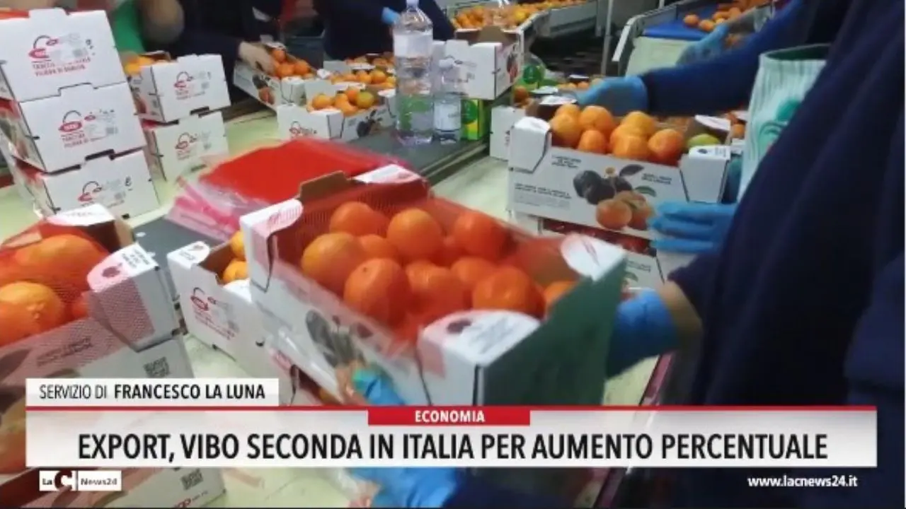 Export, Vibo seconda in Italia per aumento percentuale