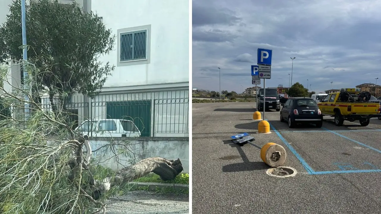 Corigliano Rossano, violente raffiche di vento: sradicati alberi e cartelli segnaletici\n