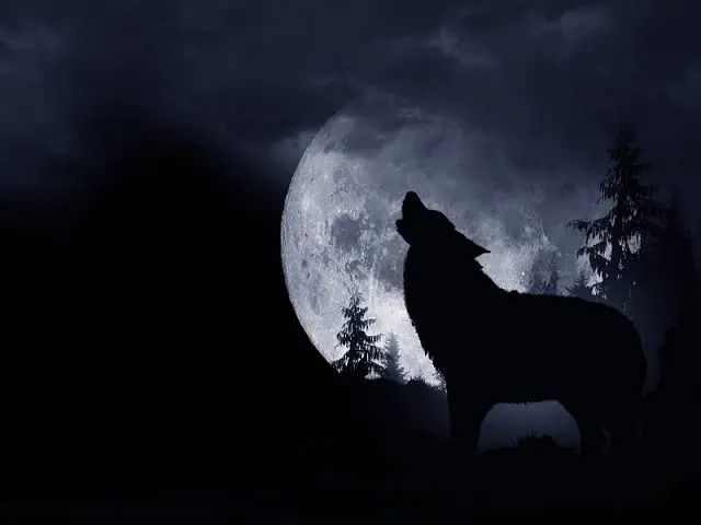 Luna Piena del Lupo: oggi il primo plenilunio dell’anno, quando e dove osservarlo in Calabria