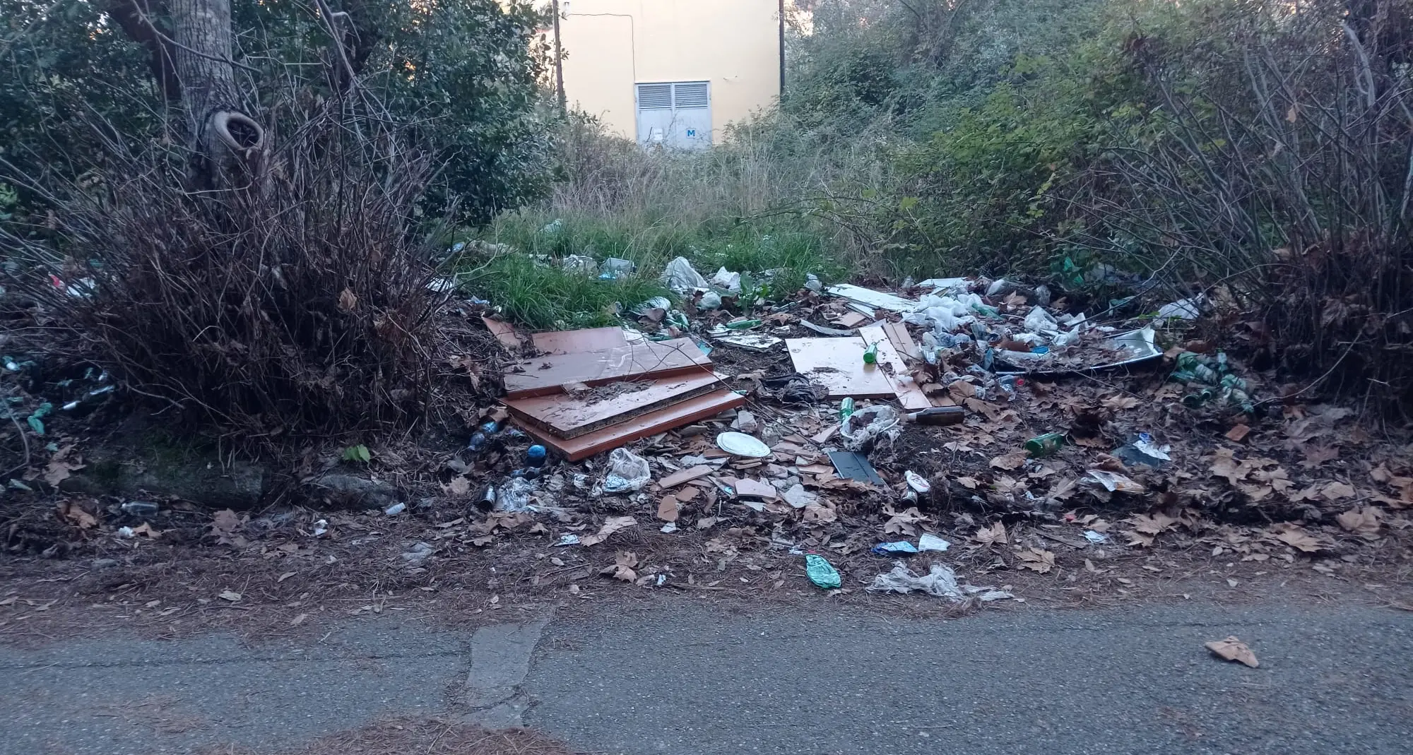 Rifiuti in strada, la denuncia di Stanizzi: «Un altro immondezzaio nello storico parco dell'ospedale Ciaccio di Catanzaro»\n