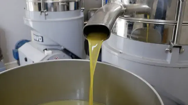 Olio tunisino a dazio zero, Coldiretti pronta ai presìdi: «Concorrenza sleale e rischio per il made in Italy»\n