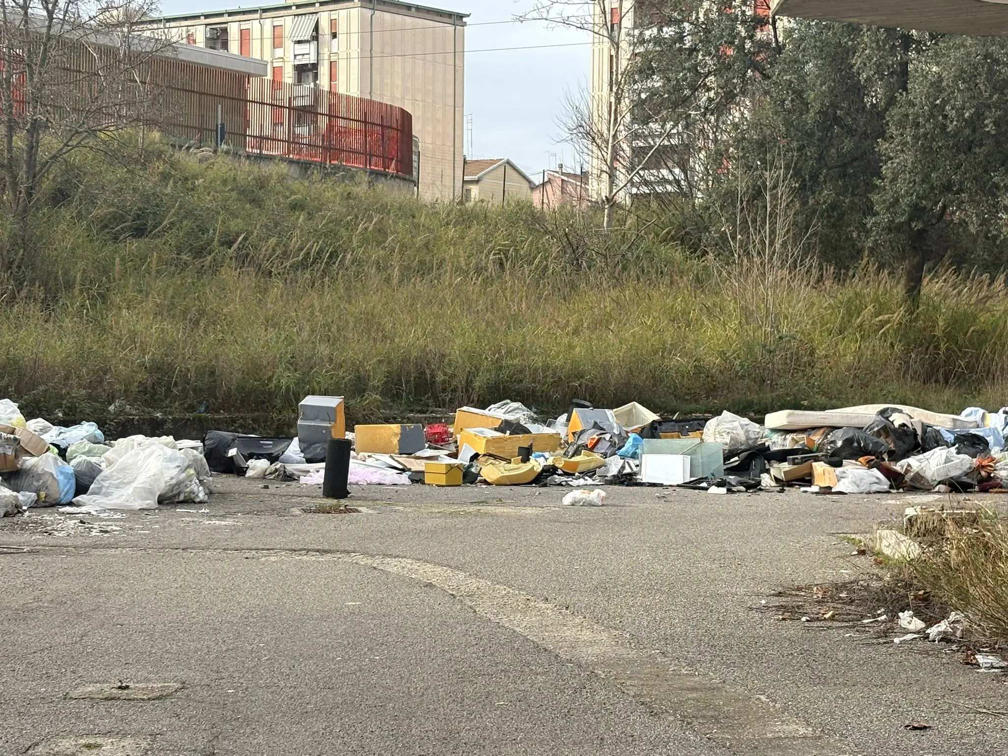 Degrado nel parcheggio della stazione di Cosenza, l’allarme di Spadafora\n