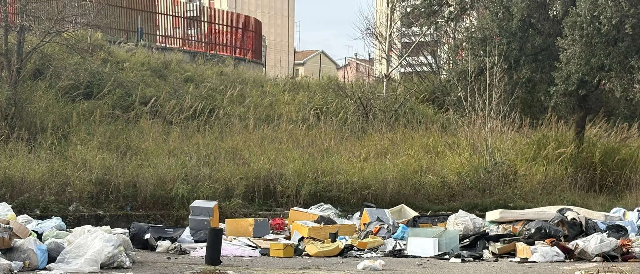 Degrado nel parcheggio della stazione di Cosenza, l’allarme di Spadafora\n