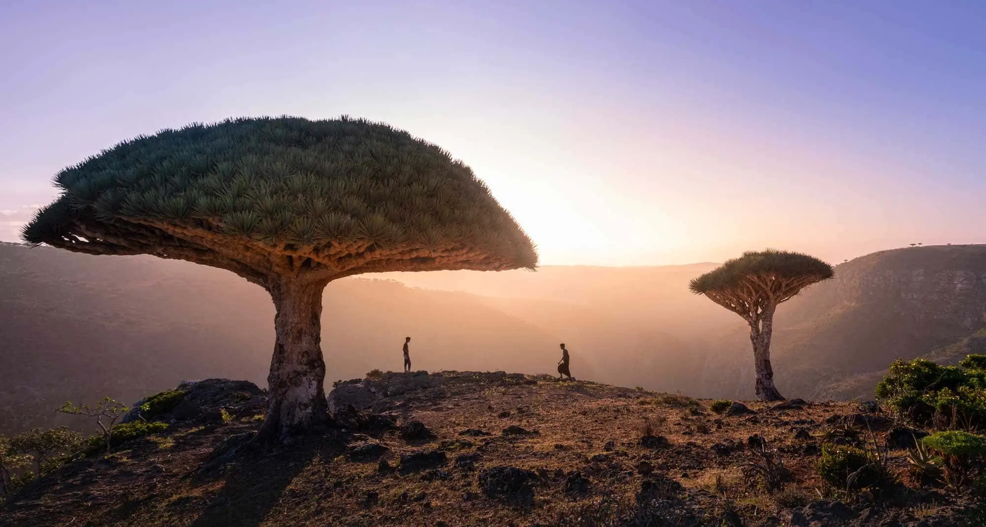 Circa 80 italiani bloccati in Yemen, voli cancellati per le tensioni nel Paese. La Farnesina al lavoro\n