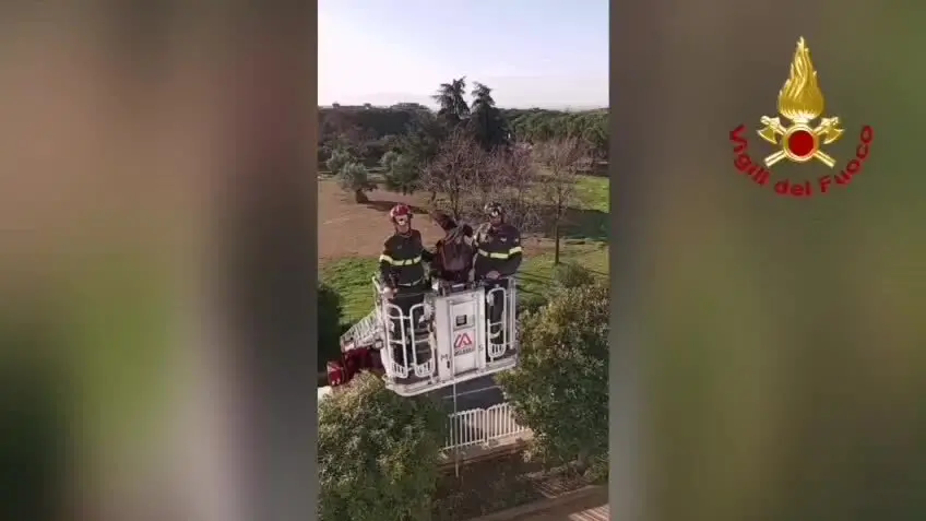 La Befana dei Vigili del Fuoco in visita all’ospedale di Lamezia Terme