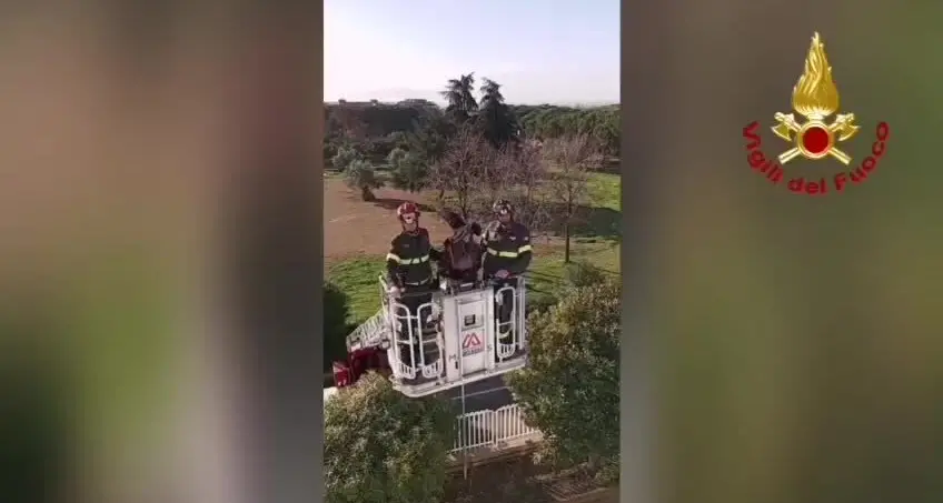 La Befana dei Vigili del Fuoco in visita all’ospedale di Lamezia Terme