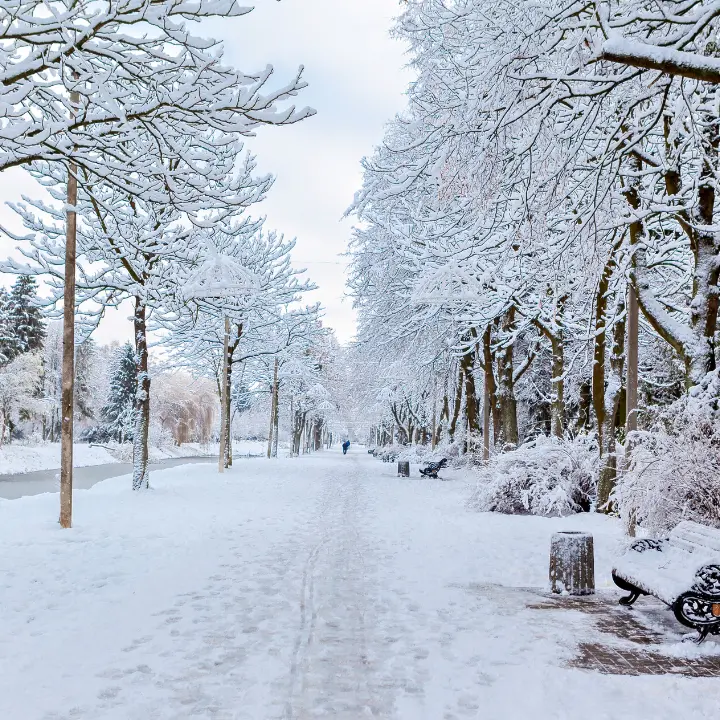 Peggiorano le condizioni meteo nel Cosentino, allerta gialla e neve a bassa quota\n