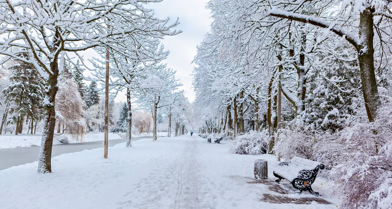 Peggiorano le condizioni meteo nel Cosentino, allerta gialla e neve a bassa quota\n