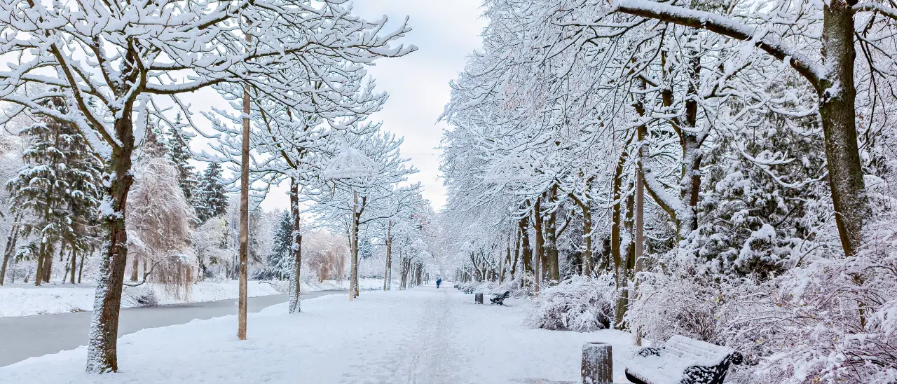 Peggiorano le condizioni meteo nel Cosentino, allerta gialla e neve a bassa quota\n