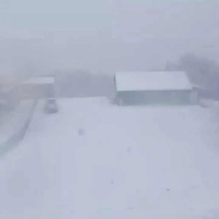 Freddo, pioggia e neve in montagna: il maltempo si\u00A0abbatte sulla Calabria, raffiche di vento in arrivo\n